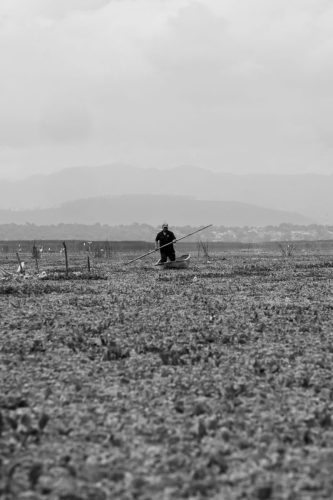 El pescador