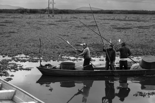 El pescador